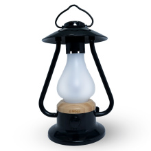 Bulbrite K80120 - BONFIRE/TL/BK