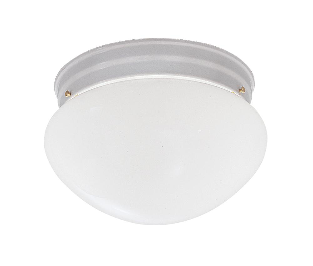 Basic 9.25" 2-Light Flush Mount