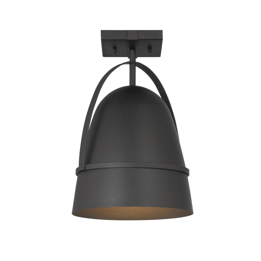 Rue 9.5" 1-Light Outdoor Semi-Flush