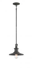 Designers Fountain D207M-10P-WP - Aurora 1 Light Pendant