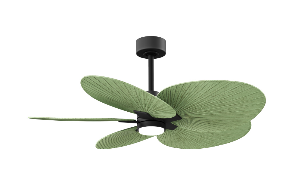 Alessandra Tropical - Five Blade Ceiling Fan - 5CCT Integrated LED - Matte Black Finish