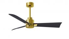 Matthews Fan Company AK-BRBR-BK-42 - Alessandra - Brushed Brass - Matte Black Blades - 42" Blades - 10" Downrod
