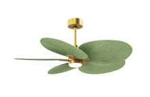 Matthews Fan Company AKTPLK-BRBR-PL - Alessandra Tropical - Five Blade Ceiling Fan - 5CCT Integrated LED - Brushed Brass Finish
