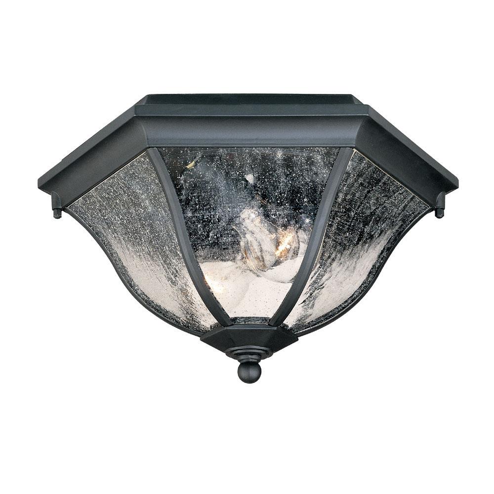Flushmount Collection Ceiling-Mount 2-Light Outdoor Matte Black Light Fixture