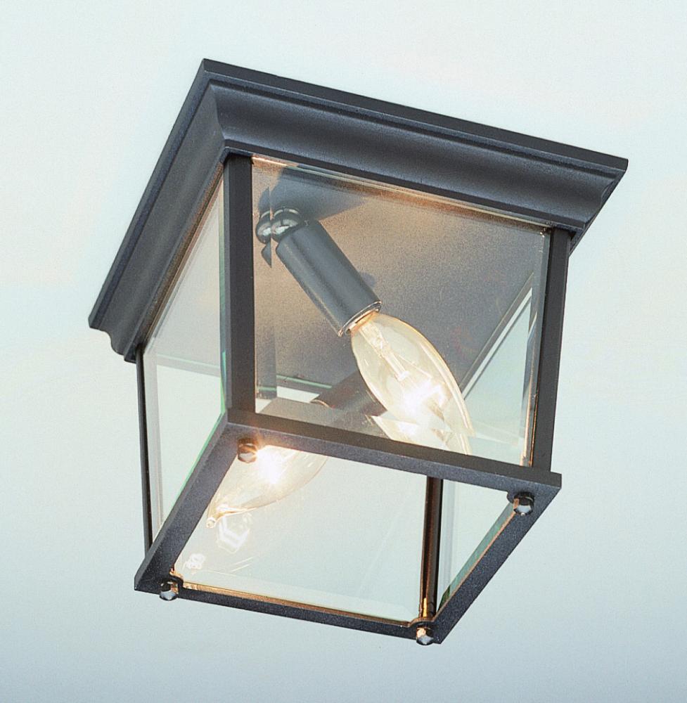 Ansel Collection Square 2-Light Simple Outdoor Flush Mount Ceiling Lantern Light