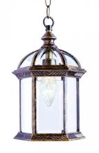 Trans Globe 4183 BC - Wentworth 1-Light Atrium Style Outdoor Hanging Pendant