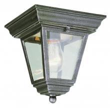 Trans Globe 4903 BC - Robertson 1-Light Square, Glass and Metal, Outdoor Flush Mount Ceiling Lantern