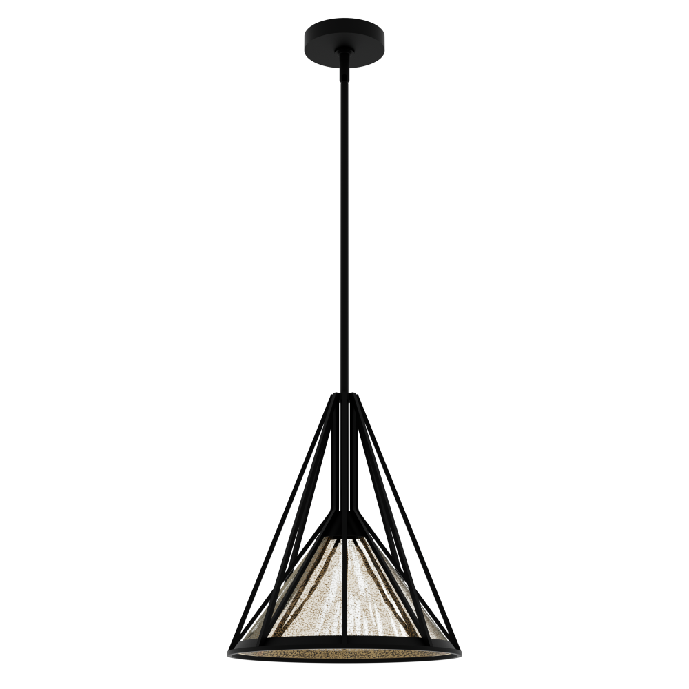 Hunter Rafner Natural Black Iron with Mercury Glass Glass 1 Light Pendant Ceiling Light Fixture