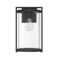 Hunter 46067 - Hunter Astwood Matte Black with Clear Glass 1 Light