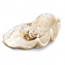 Regina Andrew 20-1123 - Regina Andrew Imperial Clam Large