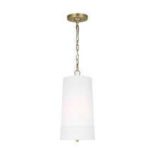 Visual Comfort & Co. Studio Collection LP1101TWBWLW - Ivy traditional dimmable indoor 1-light tall pendant in a time worn brass finish with an etched whit