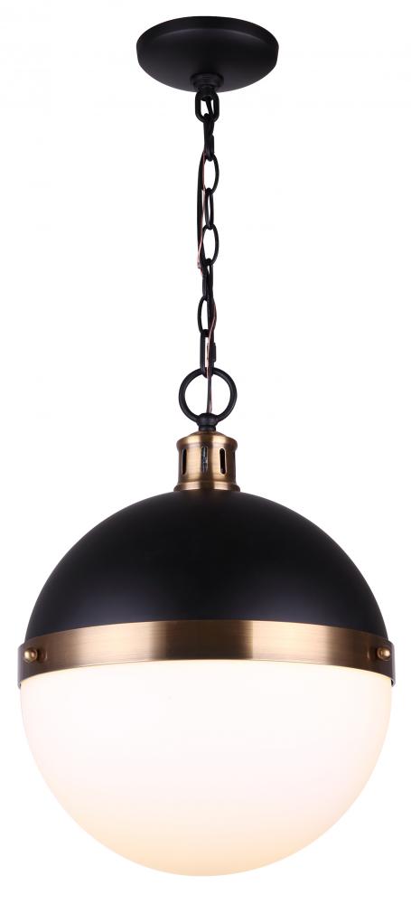 Delta 1 Light Pendant, Black Finish