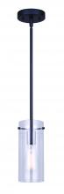 Canarm IPL759A01BK - JONI, MBK Color, 1 Lt Pendant, Clear Glass, 100W Type A, 4.75" W x 16.875 - 58.875" H