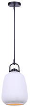 Canarm IPL2263B01BK - KASLO 1 Lt Rod Pendant Matte Black Finish and Ceramic Shade