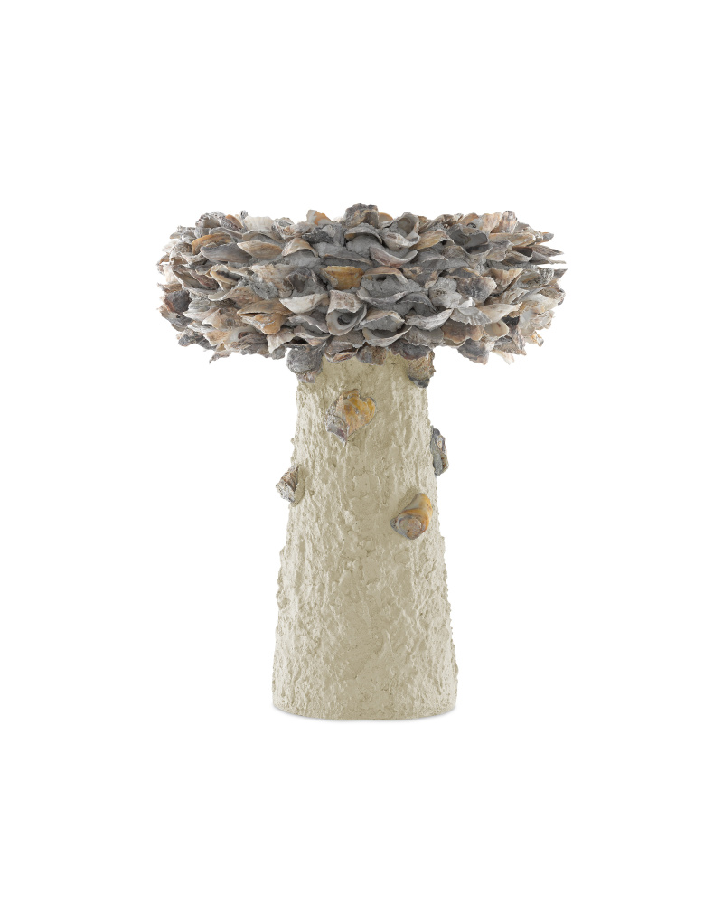 Oyster Shell Medium Bird Bath