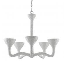 Currey 9000-0823 - Snowdonia Chandelier